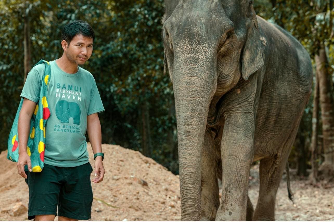 Maew Suriya @ Phangan Elephant sanctuary
